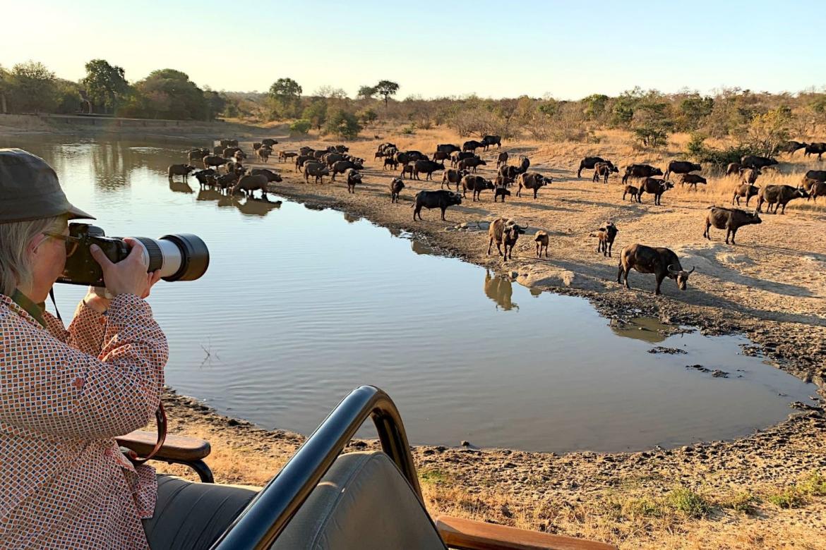 Safaris for seniors +60