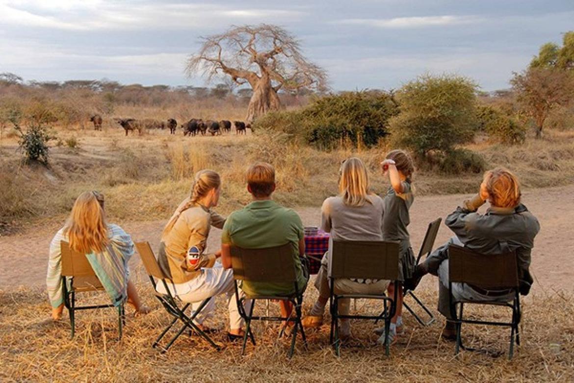 Safari For Friends